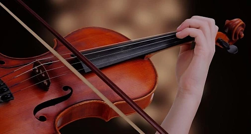 Концерт «Картинки с выставки. Струнное трио «Felicita»